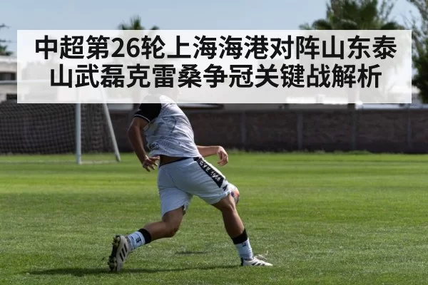 中超第26轮上海海港对阵山东泰山武磊克雷桑争冠关键战解析